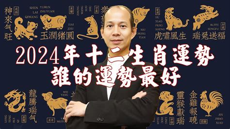 屬龍 幸運色|12生肖2024龍年財運：兔學會放下，龍凡事謹慎，蛇。